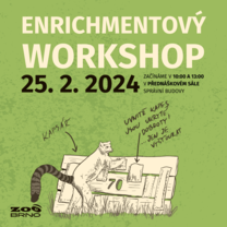 Enrichmentový workshop aneb Obohaťte (si) neděli!